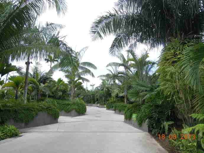 南花园-14.jpeg 南花园 14