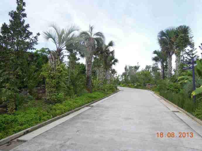 南花园-15.jpeg 南花园 15