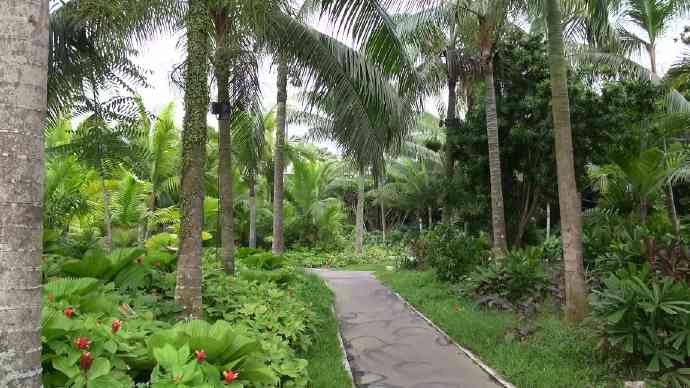 南花园-17.jpeg 南花园 17