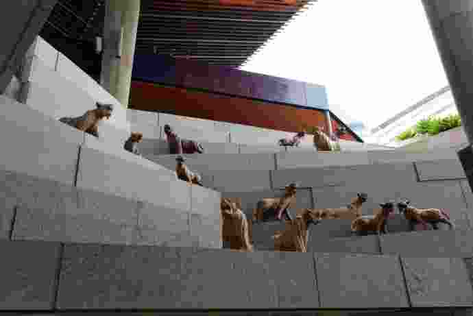 南花园-30.jpeg 南花园 30