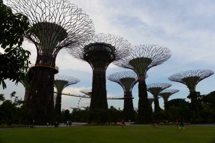 南花园-38.jpeg 南花园 38