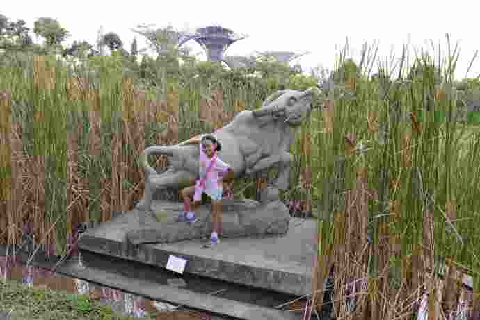 南花园-39.jpeg 南花园 39