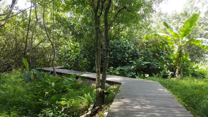 双溪布洛-01.jpeg 双溪布洛 01