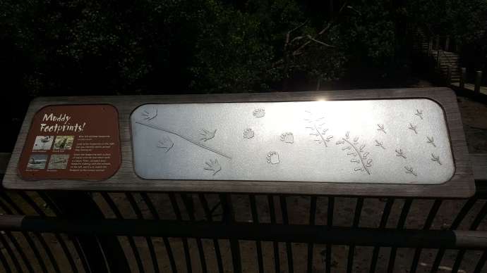 双溪布洛-03.jpeg 双溪布洛 03