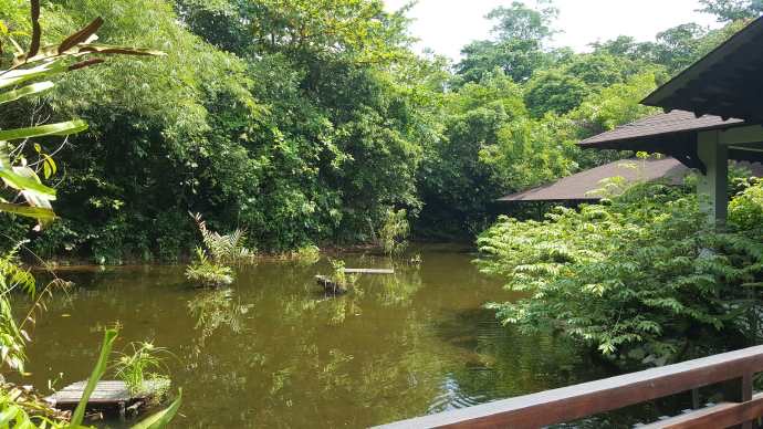 双溪布洛-05.jpeg 双溪布洛 05