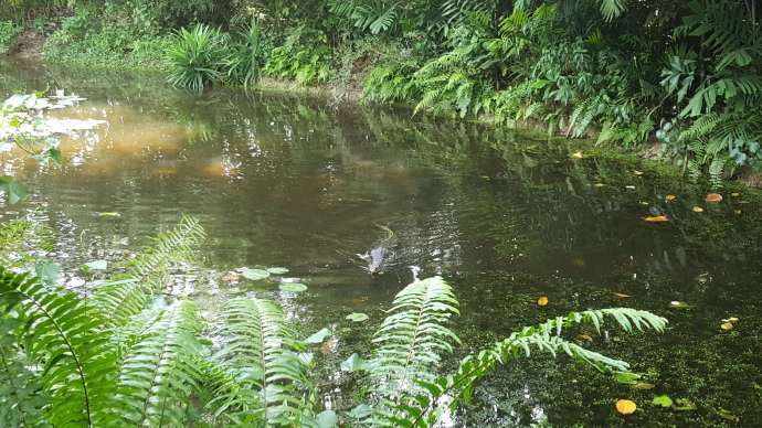 双溪布洛-06.jpeg 双溪布洛 06