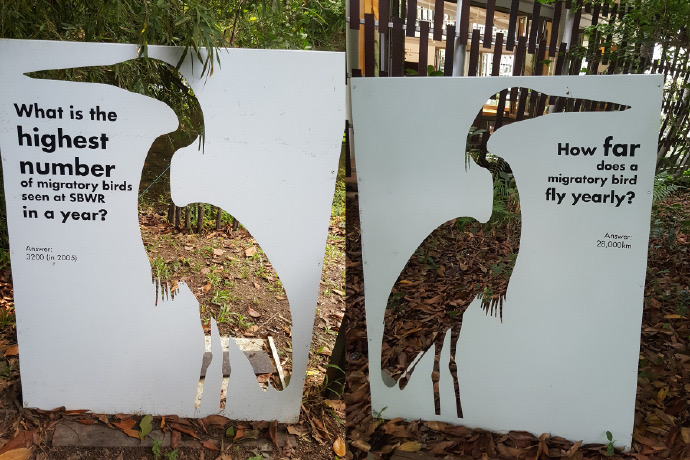 双溪布洛-12.jpeg 双溪布洛 12