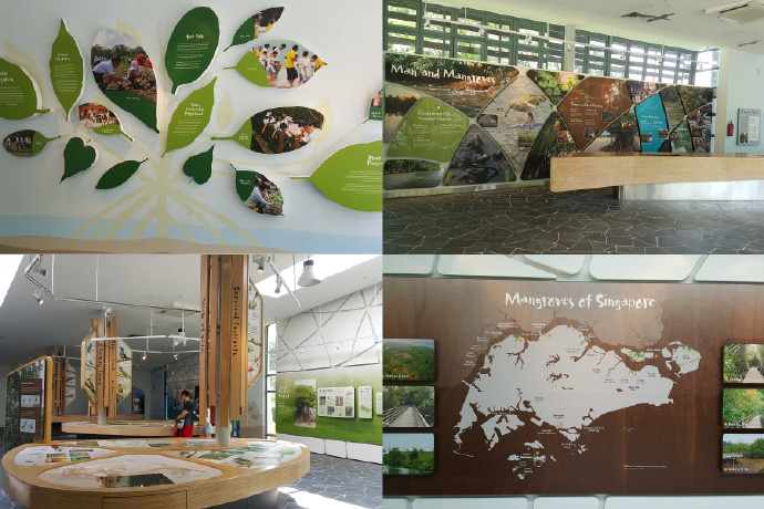 双溪布洛-13.jpeg 双溪布洛 13