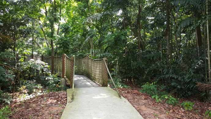 双溪布洛-14.jpeg 双溪布洛 14