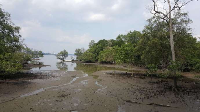 双溪布洛-16.jpeg 双溪布洛 16