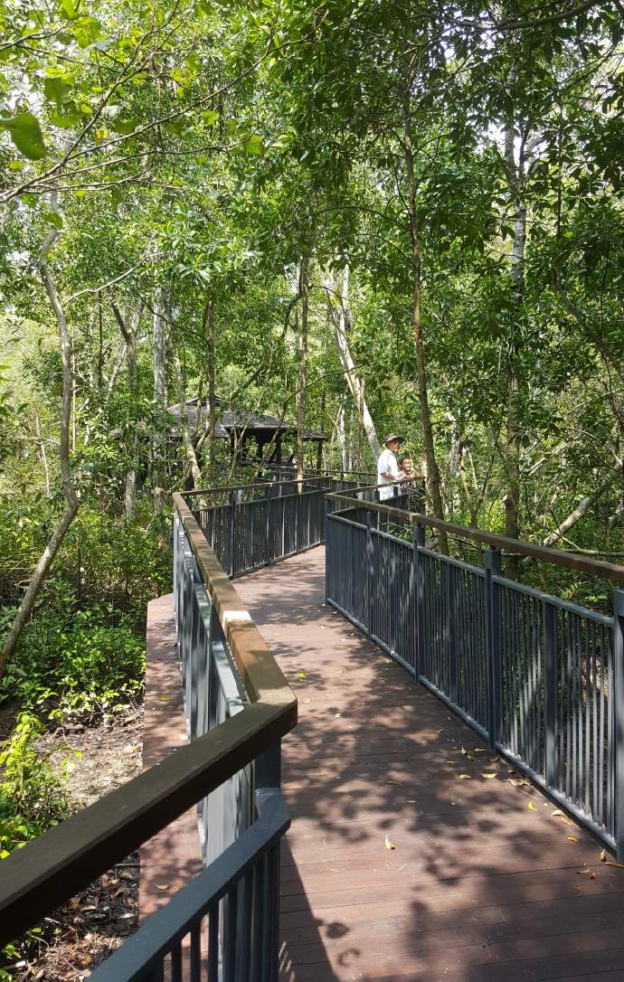 双溪布洛-18.jpeg 双溪布洛 18