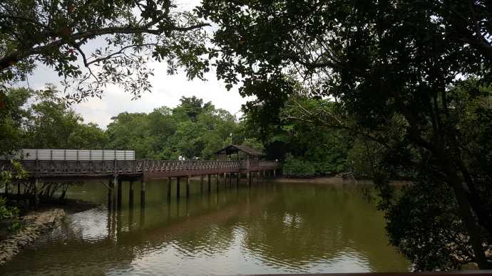 双溪布洛-19.jpeg 双溪布洛 19