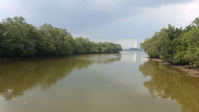 双溪布洛-20.jpeg 双溪布洛 20