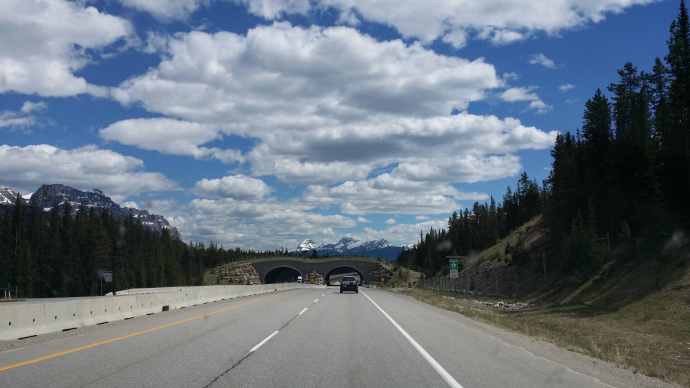 回斑夫-01.jpeg 回斑夫 01