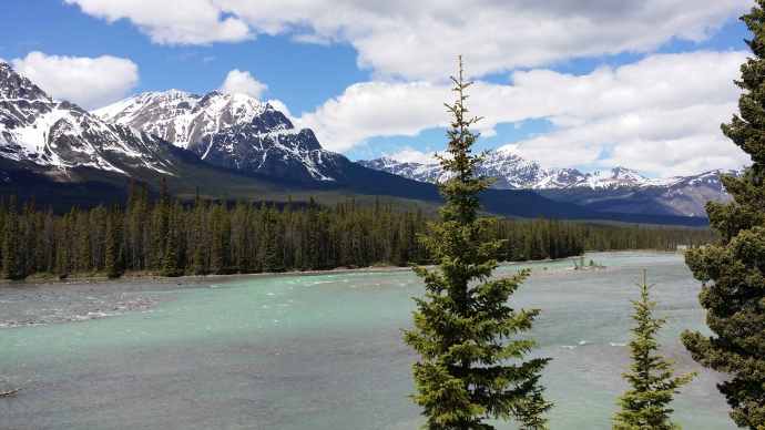 回斑夫-10.jpeg 回斑夫 10