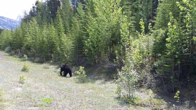 回斑夫-11.jpeg 回斑夫 11