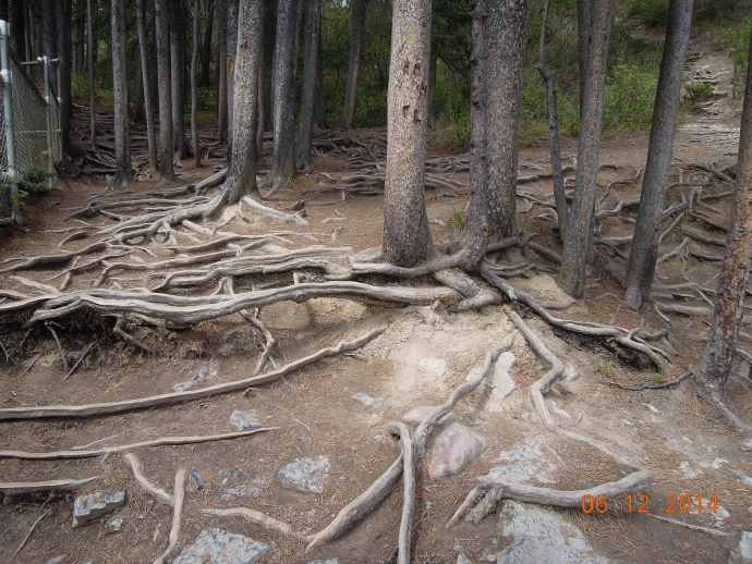 回斑夫-14.jpeg 回斑夫 14