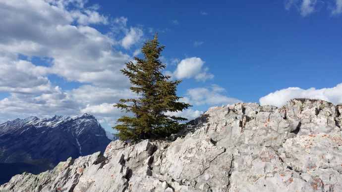 回斑夫-21.jpeg 回斑夫 21