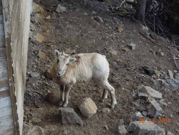 回斑夫-23.jpeg 回斑夫 23