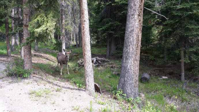 回斑夫-25.jpeg 回斑夫 25