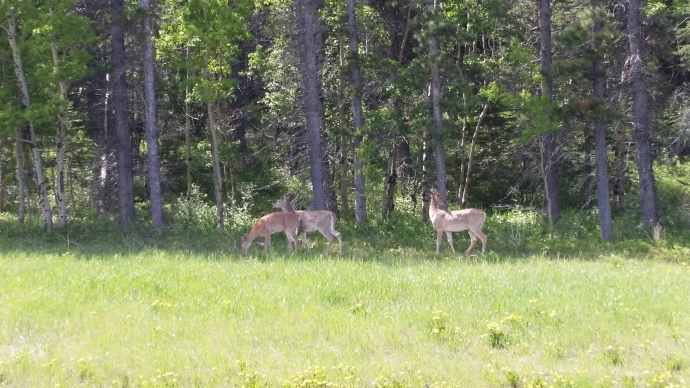 回斑夫-26.jpeg 回斑夫 26