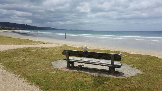 大洋路-22.jpeg 大洋路 22