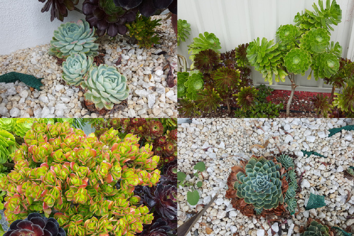 大洋路-38.jpeg 大洋路 38