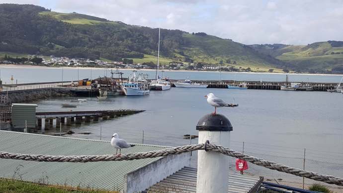 大洋路-45.jpeg 大洋路 45