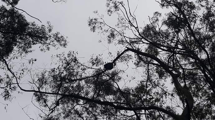 大洋路2-03.jpeg 大洋路2 03