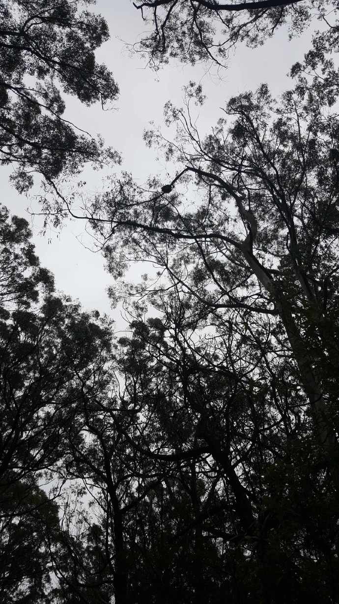 大洋路2-04.jpeg 大洋路2 04