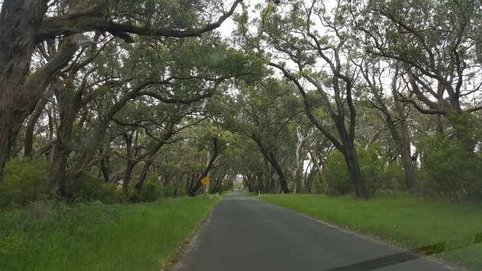 大洋路2-19.jpeg 大洋路2 19