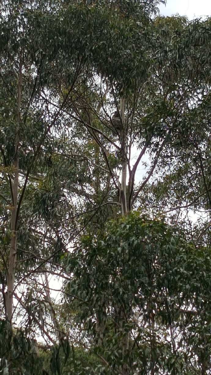 大洋路2-23.jpeg 大洋路2 23