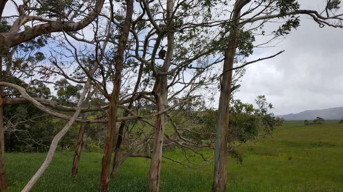 大洋路2-24.jpeg 大洋路2 24