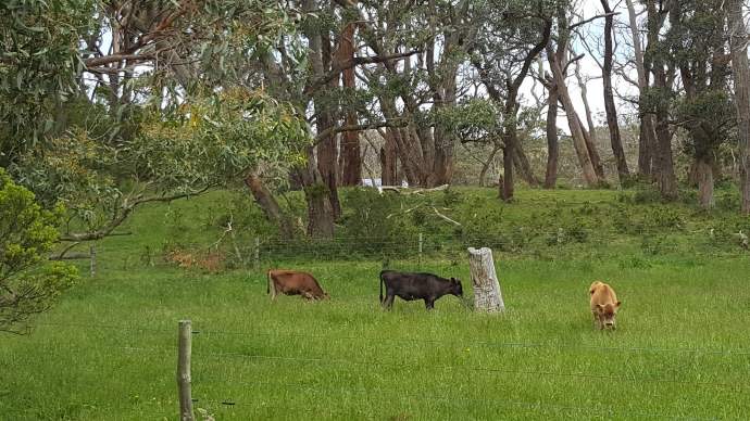 大洋路2-25.jpeg 大洋路2 25