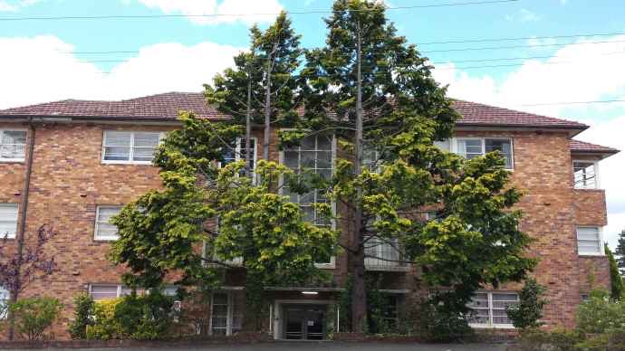 岚山-03.jpeg 岚山 03