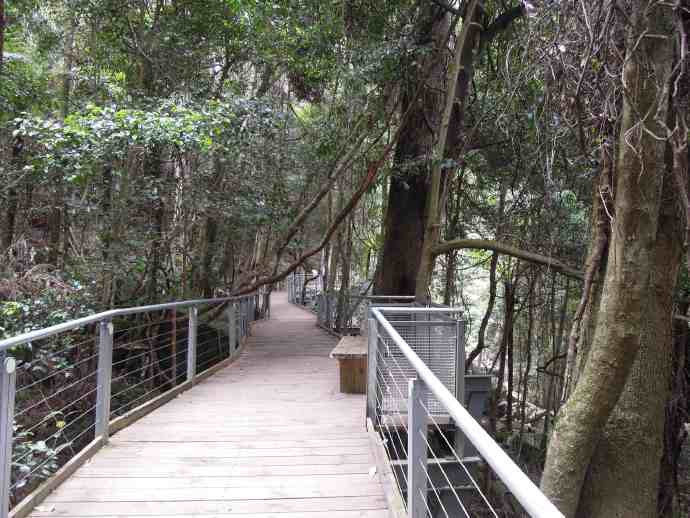 岚山-27.jpeg 岚山 27