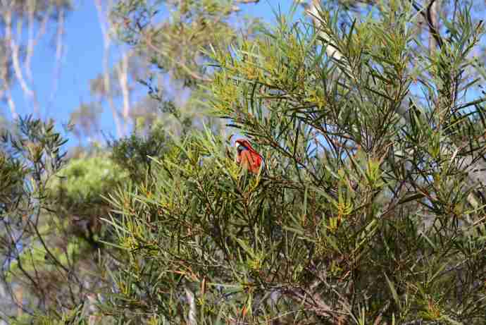 岚山-30.jpeg 岚山 30