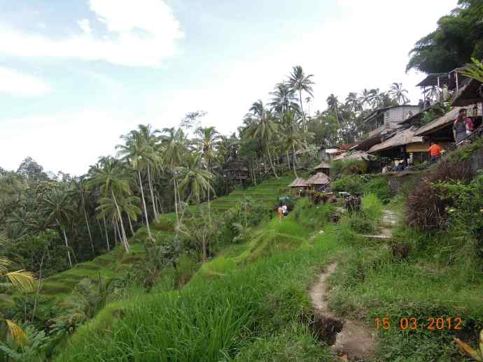 巴厘岛day3-25.jpeg 巴厘岛day3 25