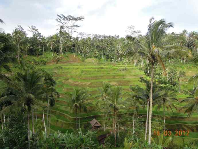 巴厘岛day3-26.jpeg 巴厘岛day3 26