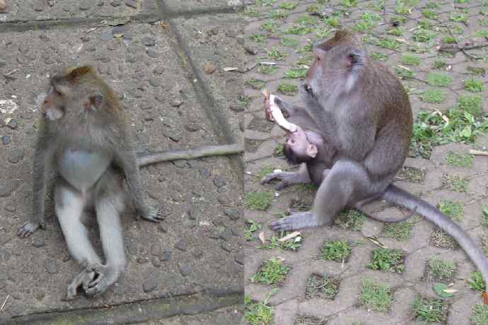 巴厘岛day3-27.jpeg 巴厘岛day3 27