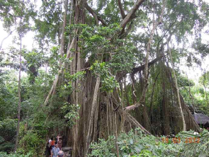 巴厘岛day3-30.jpeg 巴厘岛day3 30