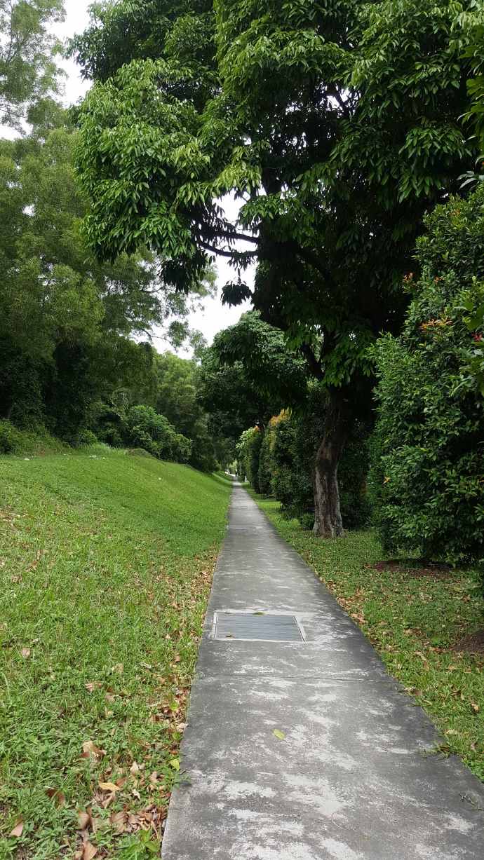 巴西立阿-02.jpeg 巴西立阿 02