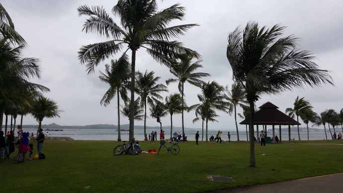 巴西立阿-04.jpeg 巴西立阿 04