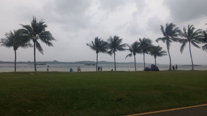 巴西立阿-05.jpeg 巴西立阿 05