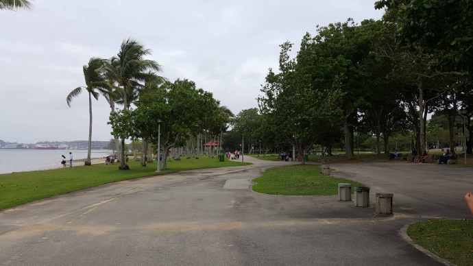 巴西立阿-06.jpeg 巴西立阿 06