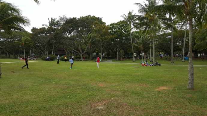 巴西立阿-07.jpeg 巴西立阿 07