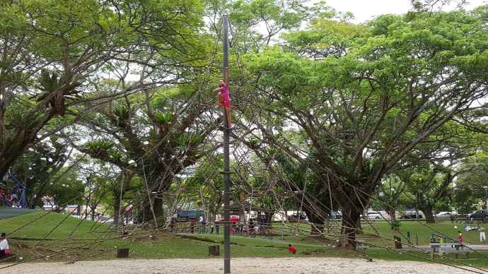 巴西立阿-08.jpeg 巴西立阿 08