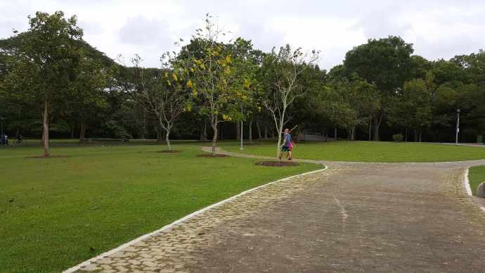 巴西立阿-13.jpeg 巴西立阿 13