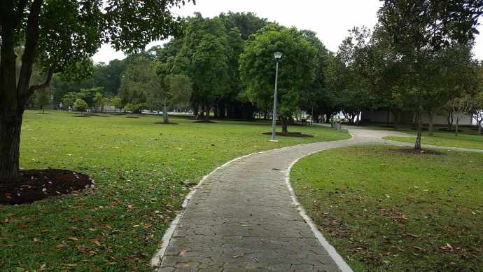 巴西立阿-14.jpeg 巴西立阿 14