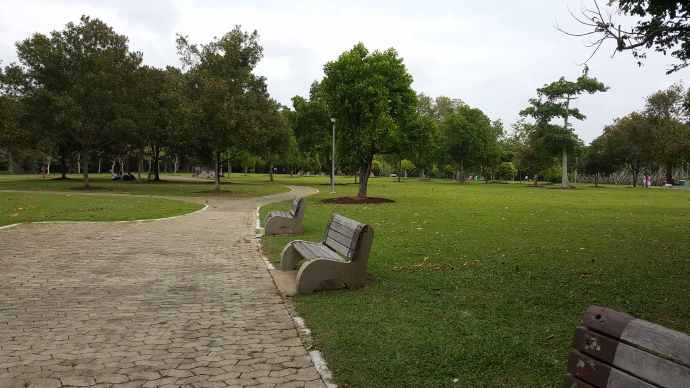 巴西立阿-16.jpeg 巴西立阿 16